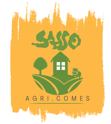Le feste di Natale con i prodotti di Agri.Comes