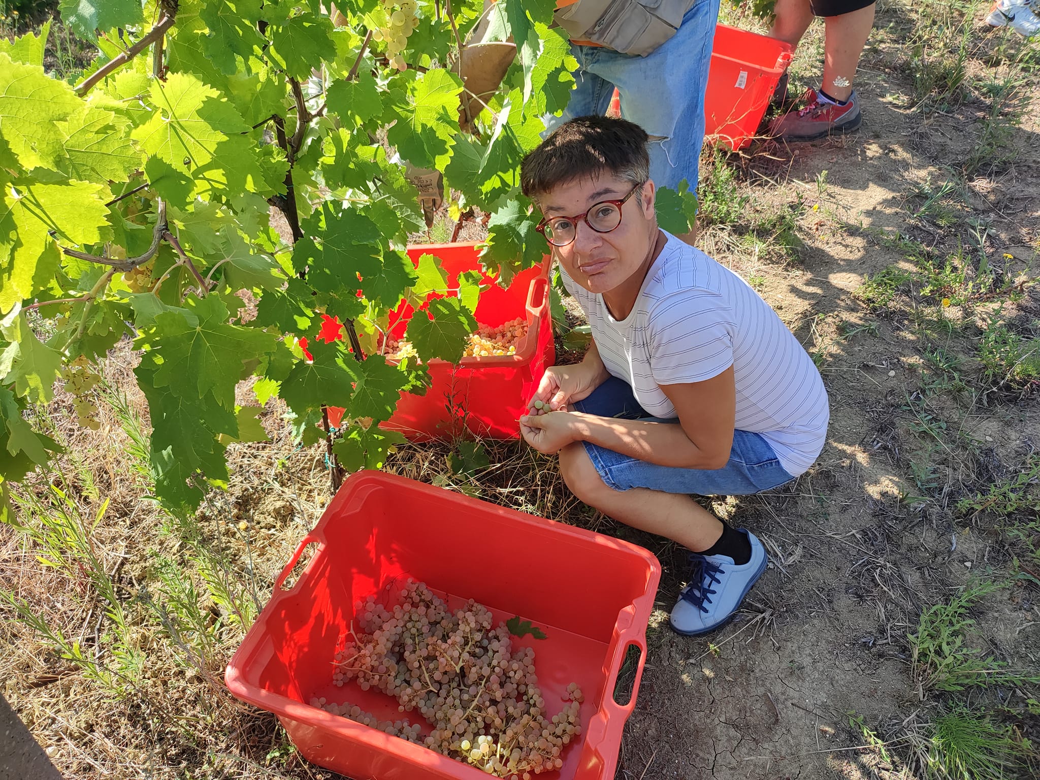 La Fraternità presenta Il Most, progetto di agricoltura sociale che profuma di vino e di storie