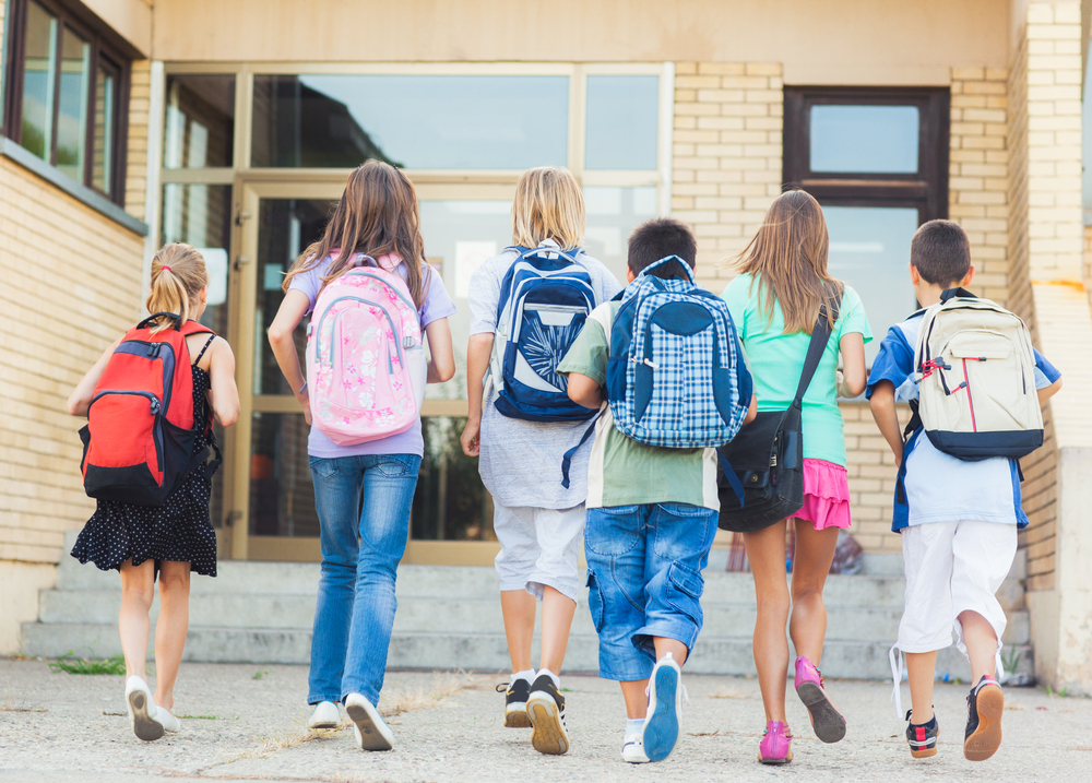 Lo Stelo: servizi pre-post scuola e ausiliari asilo nido